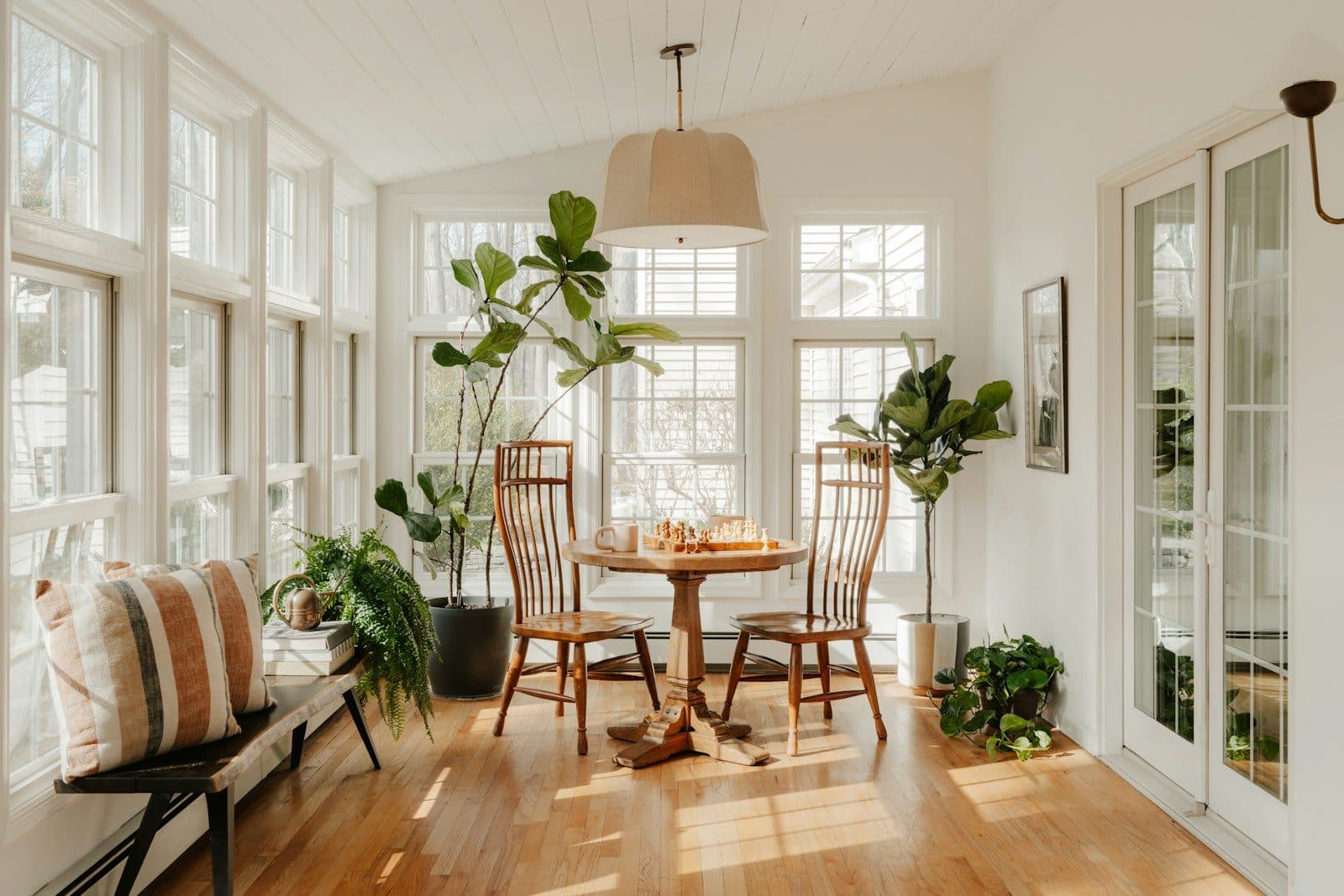A bright, tidy home filled with natural light and plants